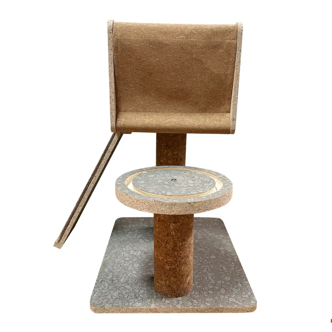cat climbing tower