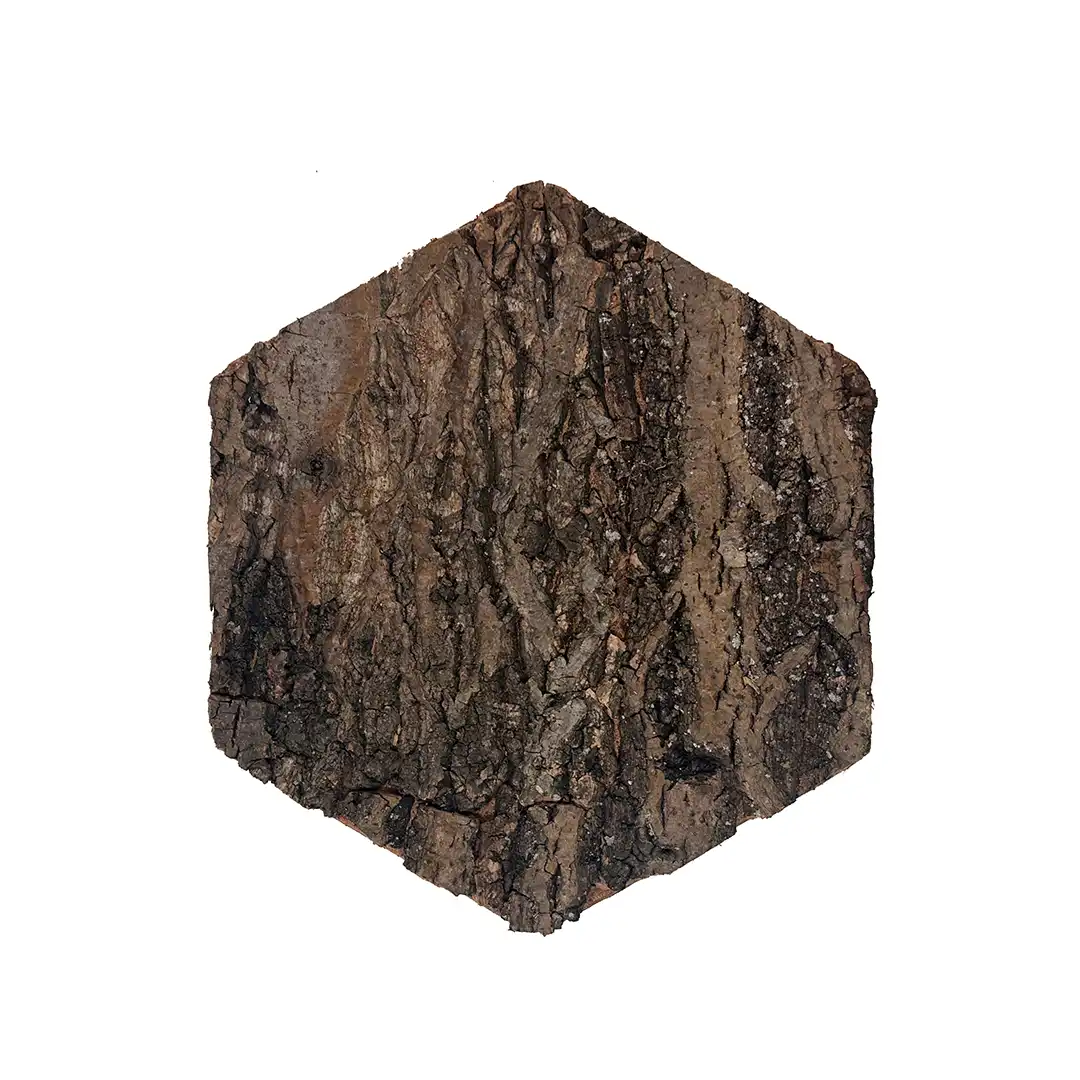 Cork reptile house Cork reptile house