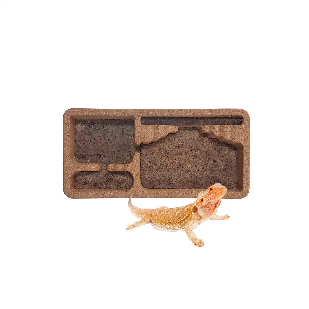 reptile habitat