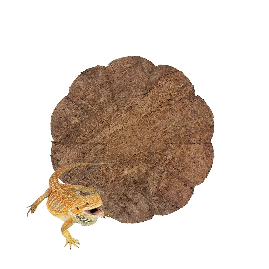Cork reptile house