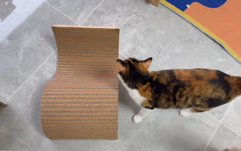S-shaped ecofriendly cat scratching board S-shaped ecofriendly cat scratching board