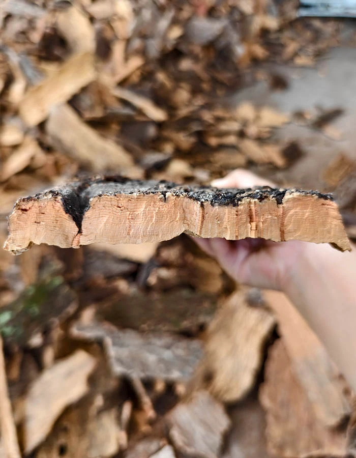 cork oka