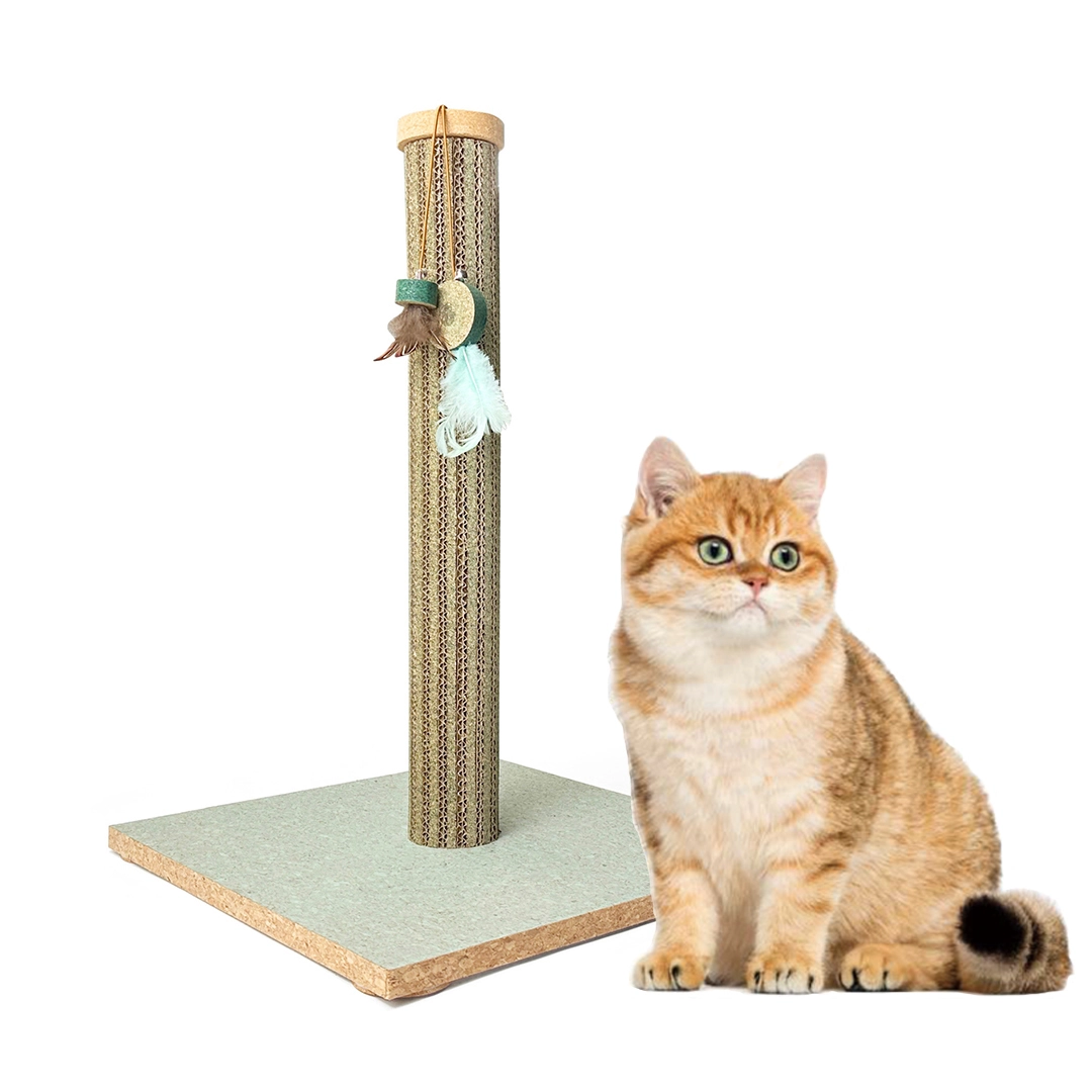cat scratching post