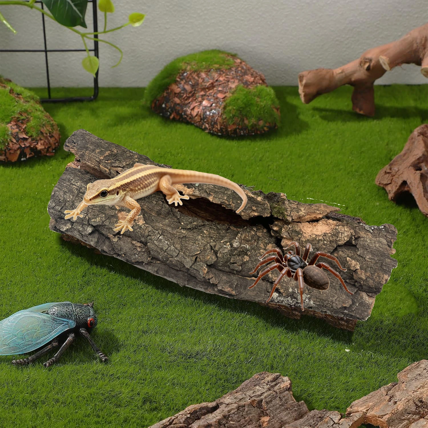 reptile natural habitats reptile natural habitats