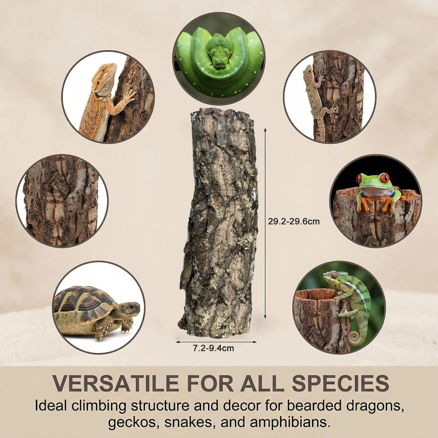 reptile habitat