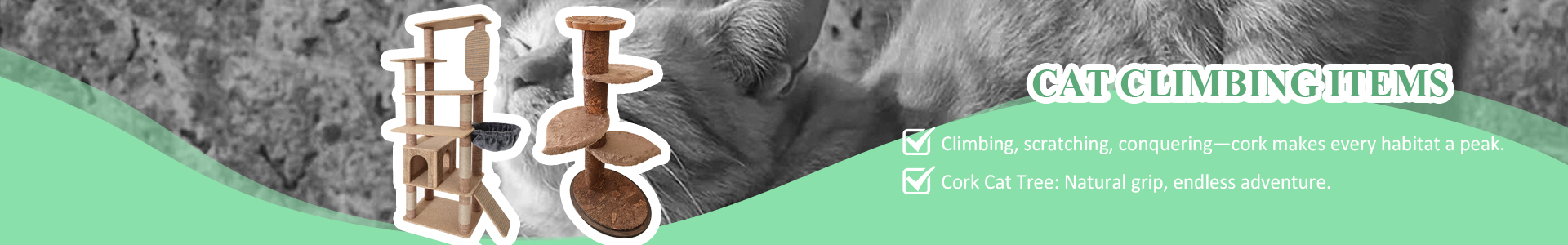 ශීර්ෂකය-බැනරය