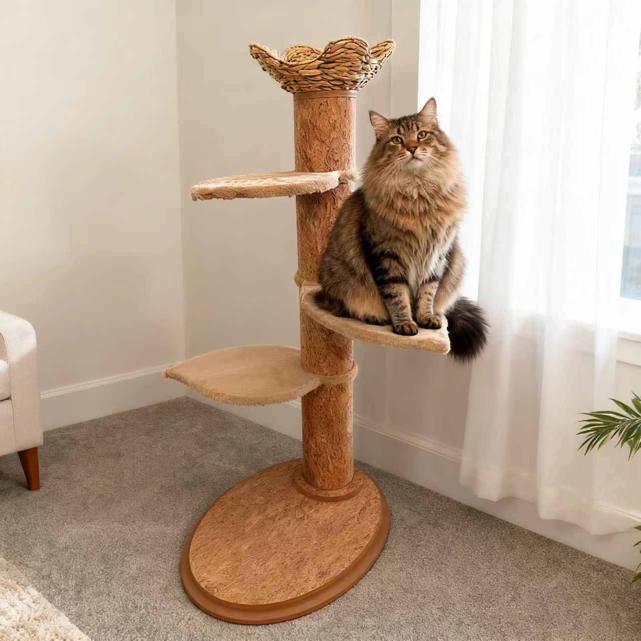 उत्पाद-चित्र