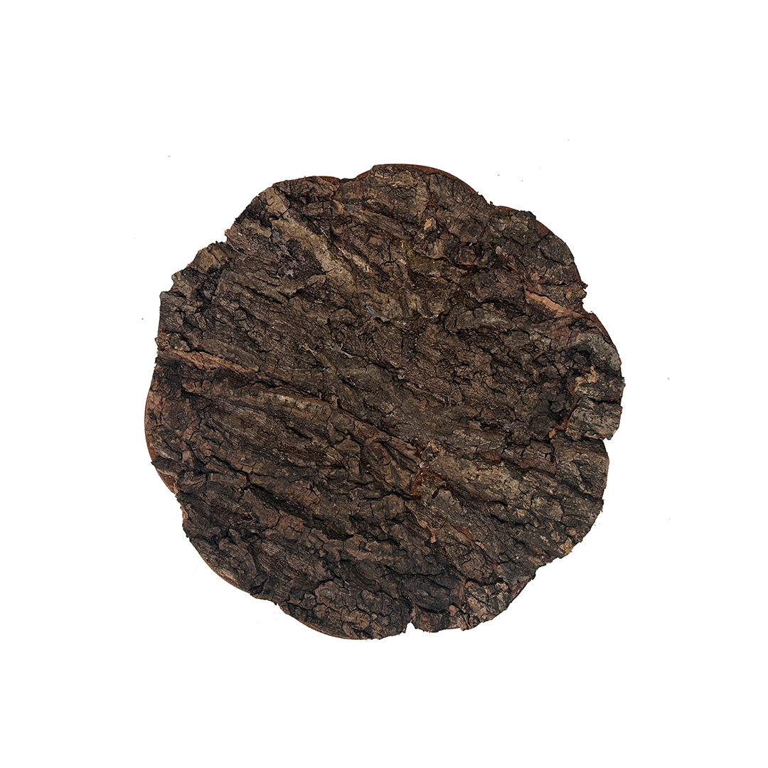 Мөлхөгчдийн нуугдах газар