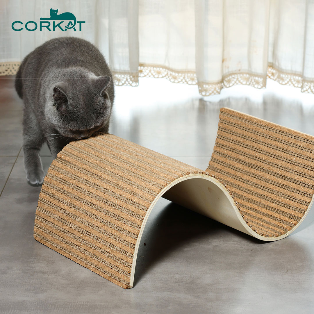 Katsi Kuchera Bhodhi